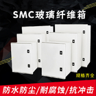صندوق الضميمة البلاستيكي المقوى بالزجاج SMC IP65 شديد التحمل