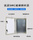 SMC كابل مربع توزيع الضميمة الألياف الزجاجية مع أقفال مزدوجة معيار CE