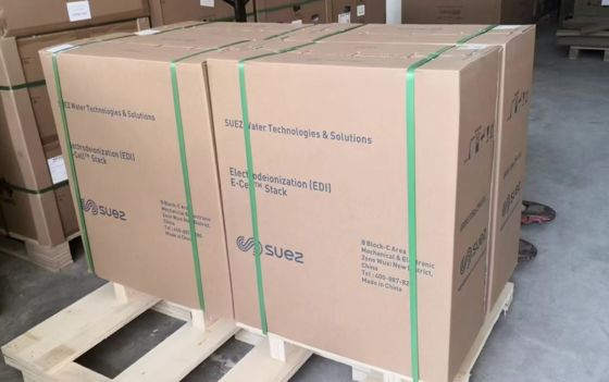 Veolia E-Cell MK-3 EDI Stack for Continuous High-Purity Water Production